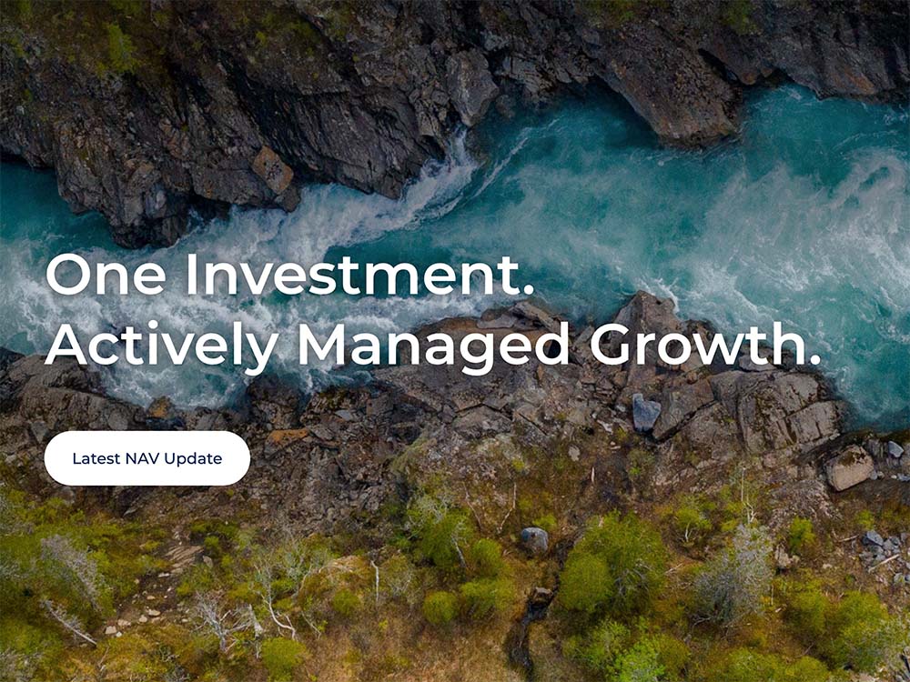 Torrent Capital website